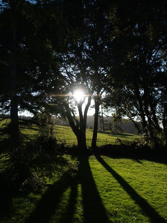 The Mount Somerset Taunton Dış mekan fotoğraf