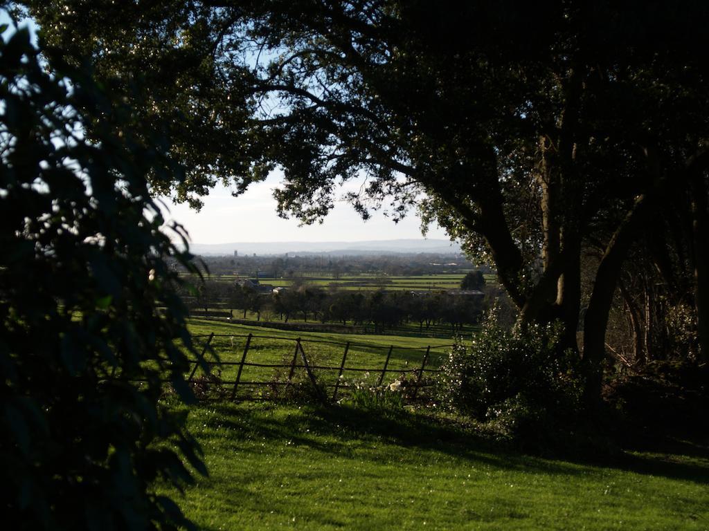 The Mount Somerset Taunton Dış mekan fotoğraf