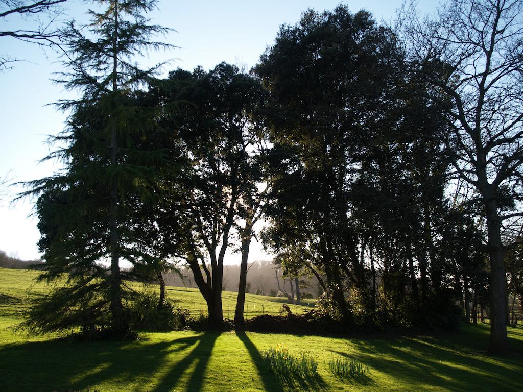 The Mount Somerset Taunton Dış mekan fotoğraf